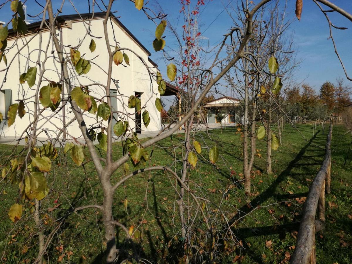 Agriturismo Corte Benetti Rovigo Buitenkant foto