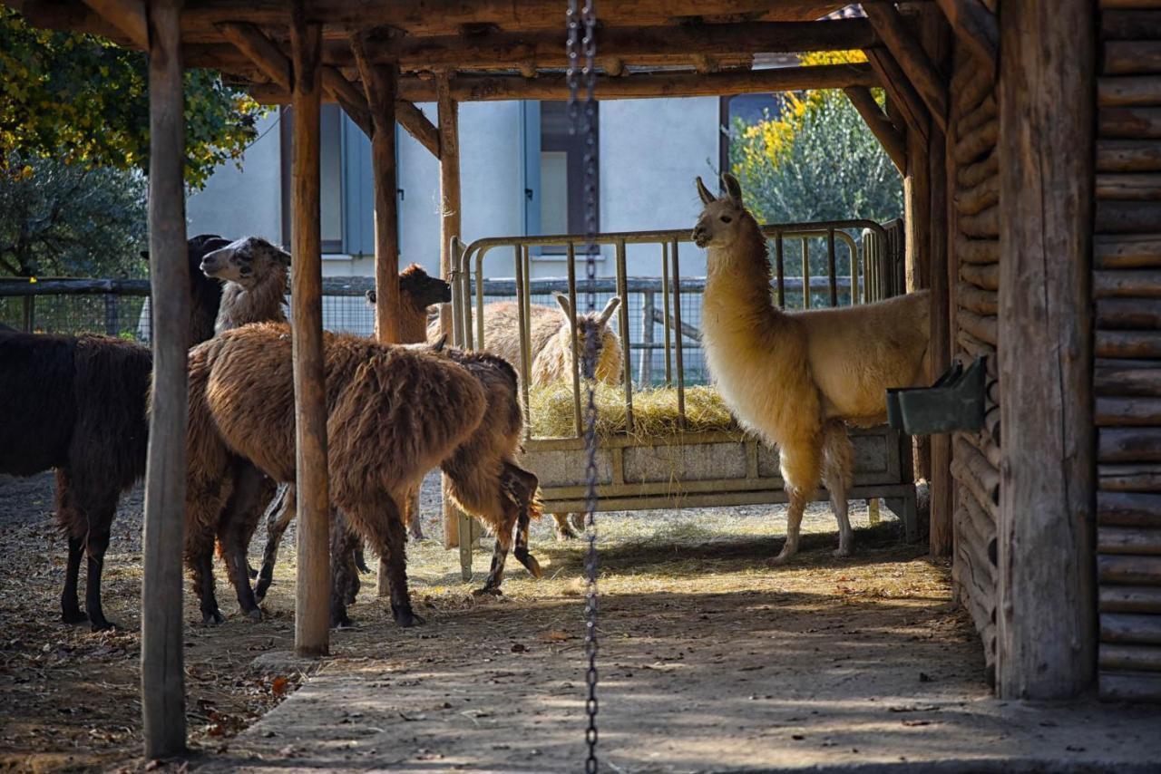 Agriturismo Corte Benetti Rovigo Buitenkant foto