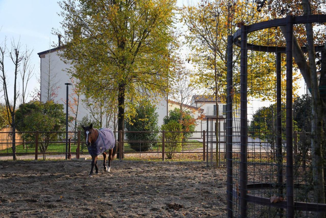 Agriturismo Corte Benetti Rovigo Buitenkant foto