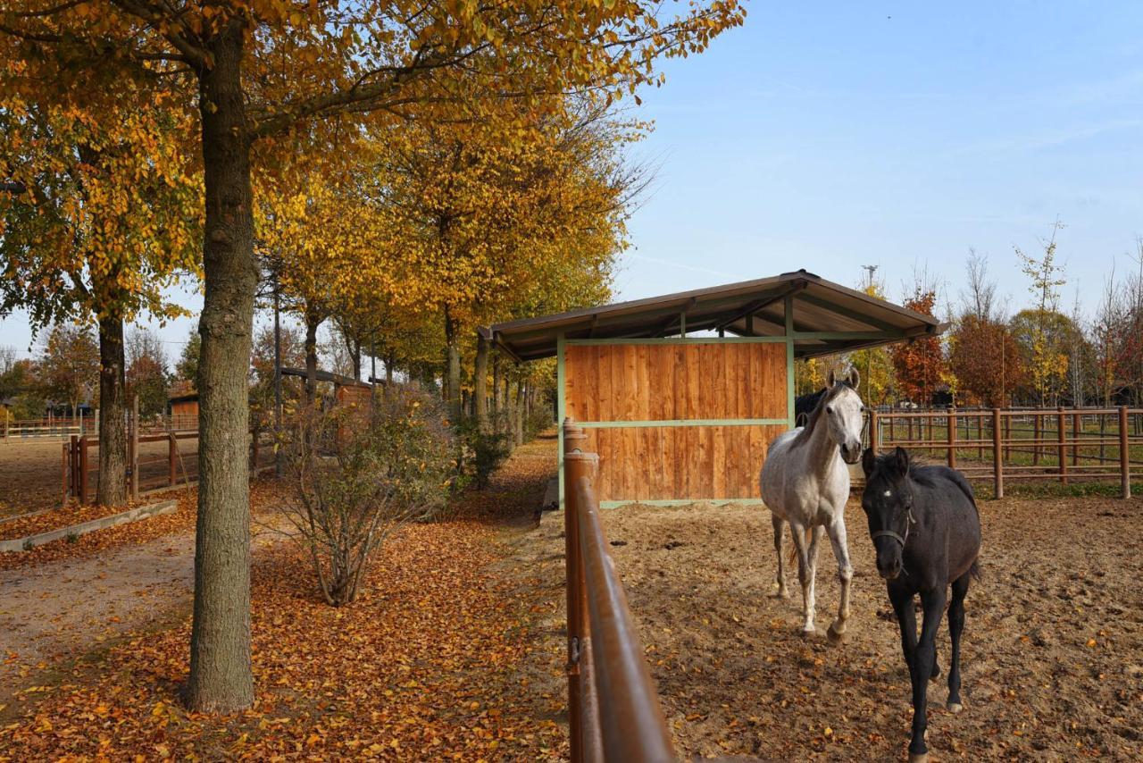 Agriturismo Corte Benetti Rovigo Buitenkant foto
