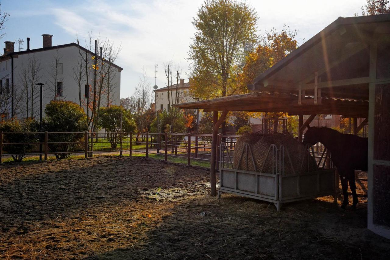 Agriturismo Corte Benetti Rovigo Buitenkant foto